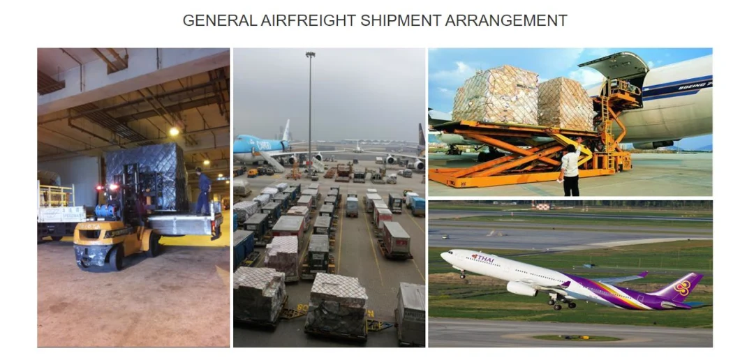 International Transport Logistics Air Freight Cargo Express Best Shipping Agent Service From Shenzhen to Ho Chi Minh City Tan Son Nhat International Airport
