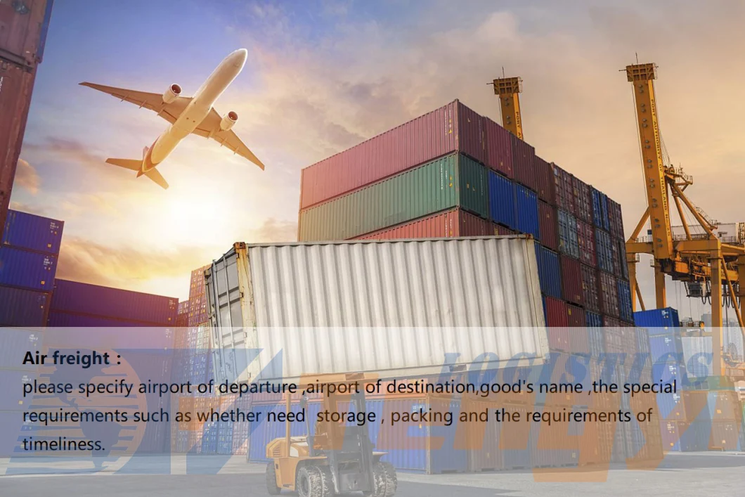 DDP Freight Air Logistics Wtih Freight Forwarder Agent and China Logistics and Supply Chain Companies