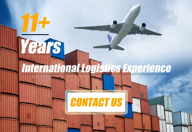 China Logistics Shipping Company /Express Air Service by DHL to USA Fba Amazon