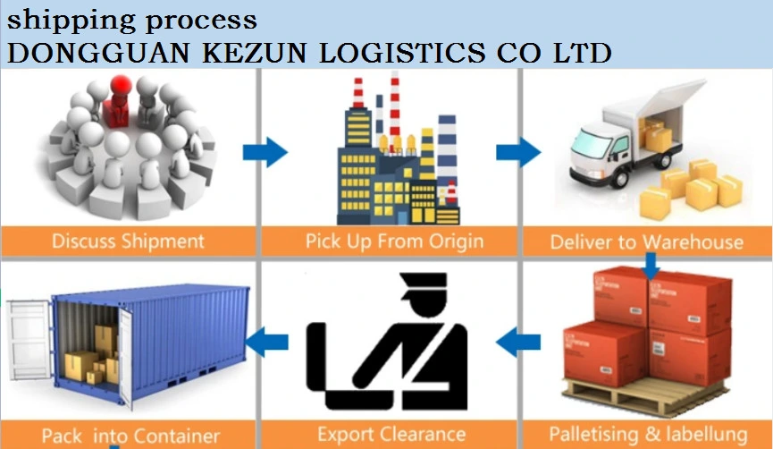 FCL LCL Customs Clearance Land Railway Transportation DDU DDP Ocean Shipping Freight Sea Freight
