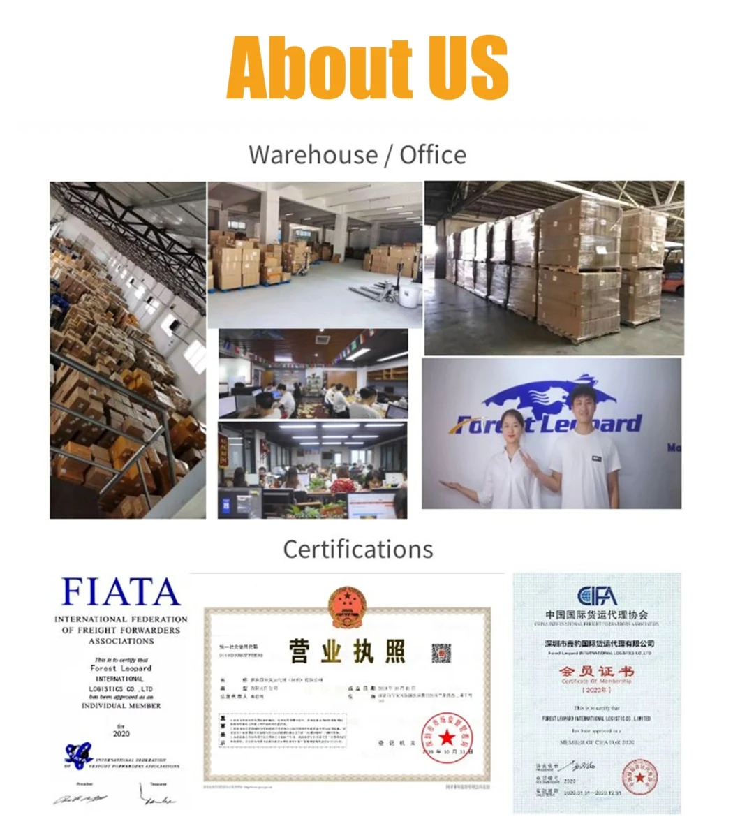 Logistic Company Drop Shipper Shipping From China to USA