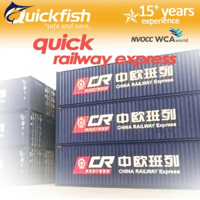 Door to Door Railway Freight Rail Transportation Service From China to Austria