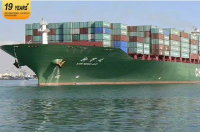 Fastest Sea Shipping Drop Shipping From Shenzhen China to Canda Amazon Fba Service