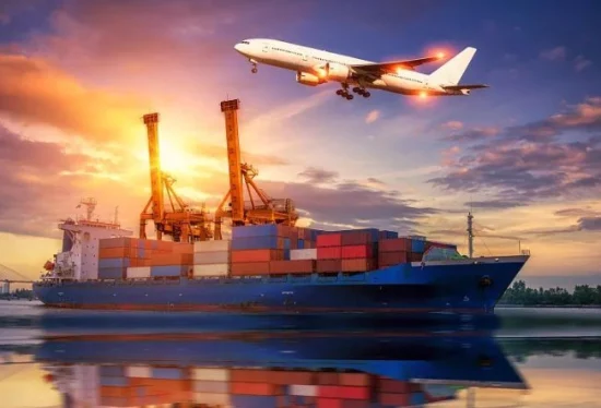 Experienced China to American Sea/Air Freight Drop Shipping DDP/DDU From China to USA