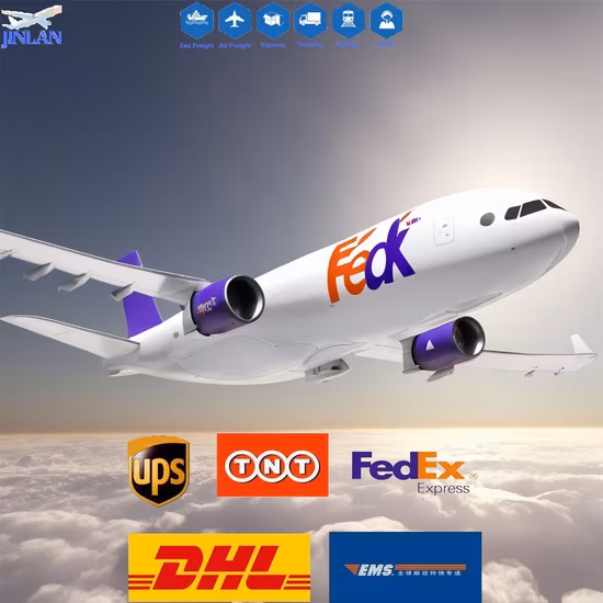 Air Freight Forwarding Service From China to The Worldwide