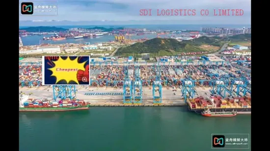 Provide Matson Overtime Ship to The Us Fba Logistics Warehouse Service, DDP/DDU/LCL/FCL