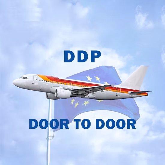 China Logistics Shipping Company /Express Air Service by DHL to USA Fba Amazon