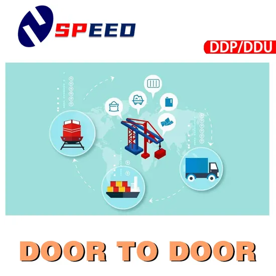 China Agent Sea Freight Shipping to Australia Special Transportation DDP Sea Shipping Services From China to USA and Us Amazon Warehouse Fba Logistics Forwarder