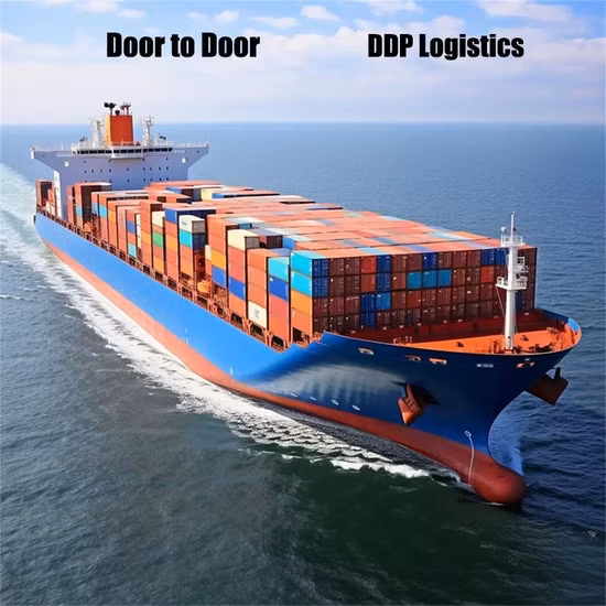 Sea/Air Cargo Freight Forwarder Container Shipping Agent DDP LCL Logistics Company, Providing Transportation Service From China to Us/UK Amazon Fba Warehouse