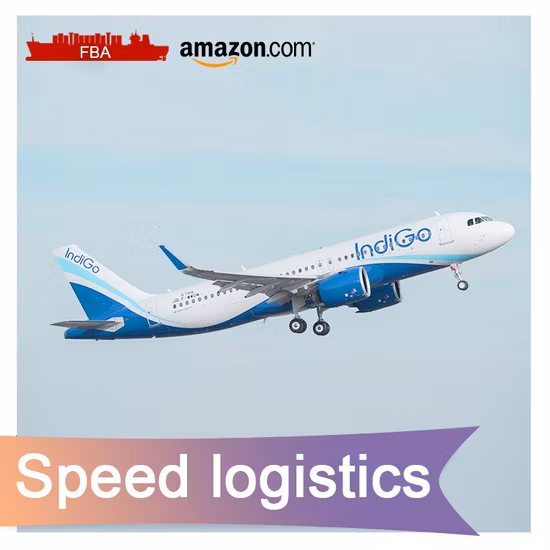 China Agent Sea Freight Shipping to Australia Special Transportation DDP Sea Shipping Services From China to USA and Us Amazon Warehouse Fba Logistics Forwarder