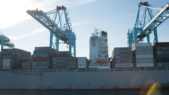 FCL LCL Customs Clearance Land Railway Transportation DDU DDP Ocean Shipping Freight Sea Freight to Pipavav India Pakistan