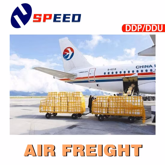 China Agent Sea Freight Shipping to Australia Special Transportation DDP Sea Shipping Services From China to USA and Us Amazon Warehouse Fba Logistics Forwarder
