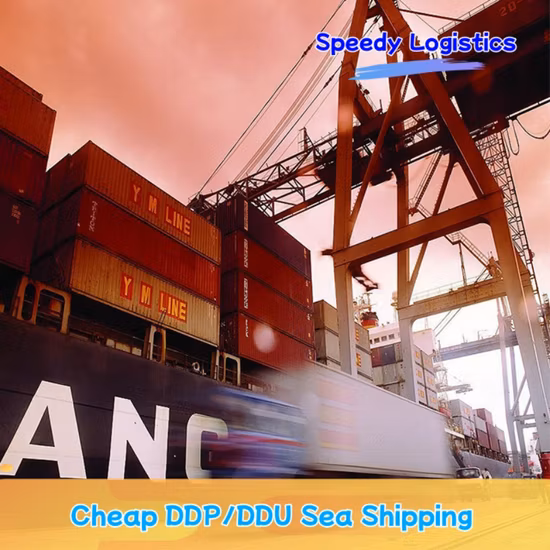 Logistics Nigeria Freight Forwarder to France Air Freight From China to Canada Nigeria Germany Cargo Services