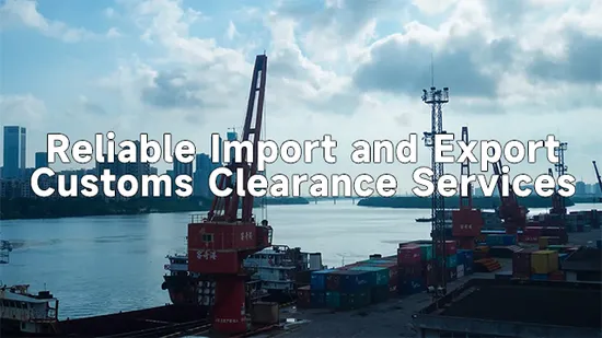 China Import and Export Customs Declaration and Customs Clearance Service