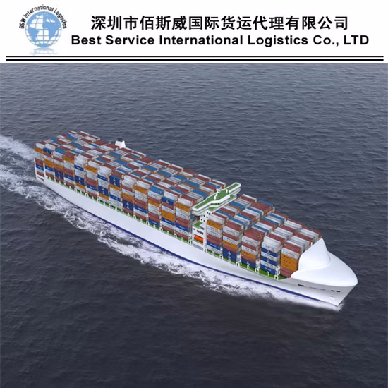 20gp/40gp/40hq/LCL Container Sea/Railway Transport Service Freight Shipping Logistics Service to EU/Central Asia Best Shipping Agent Service