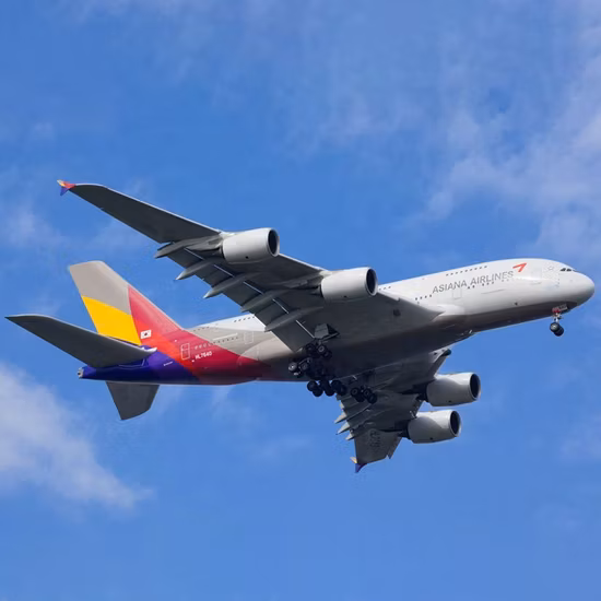 DHL/FedEx/TNT/UPS/EMS/ Express International Express Service From Guangzhou to Tanzania